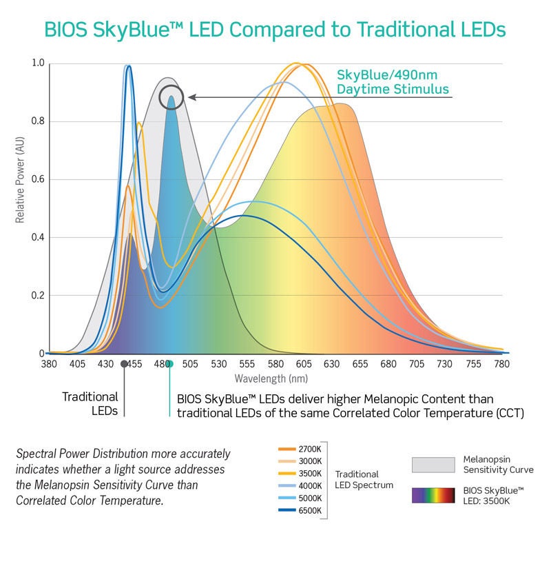 BIOS SPD