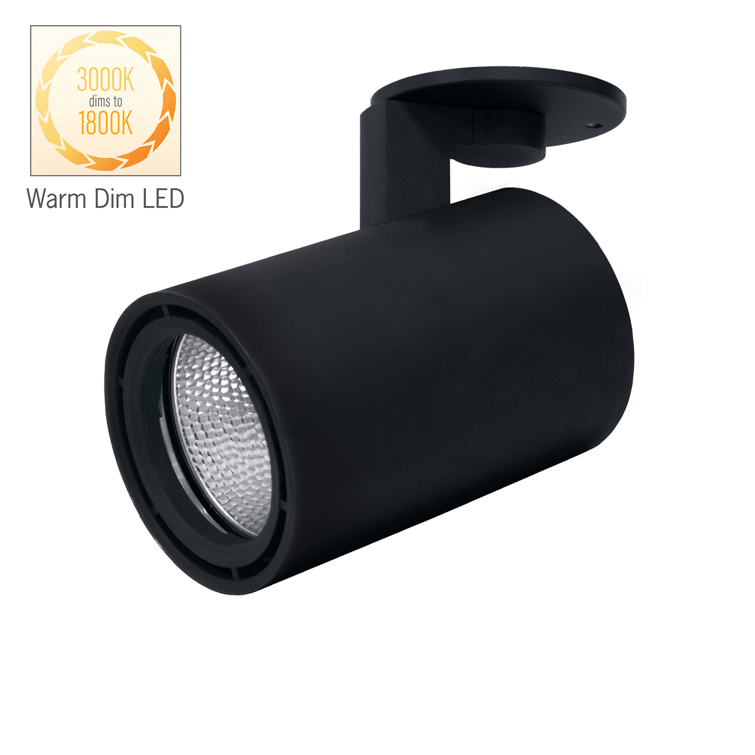 Product image for Gallery XL Mono-Point Luminaire with Warm Dim LED