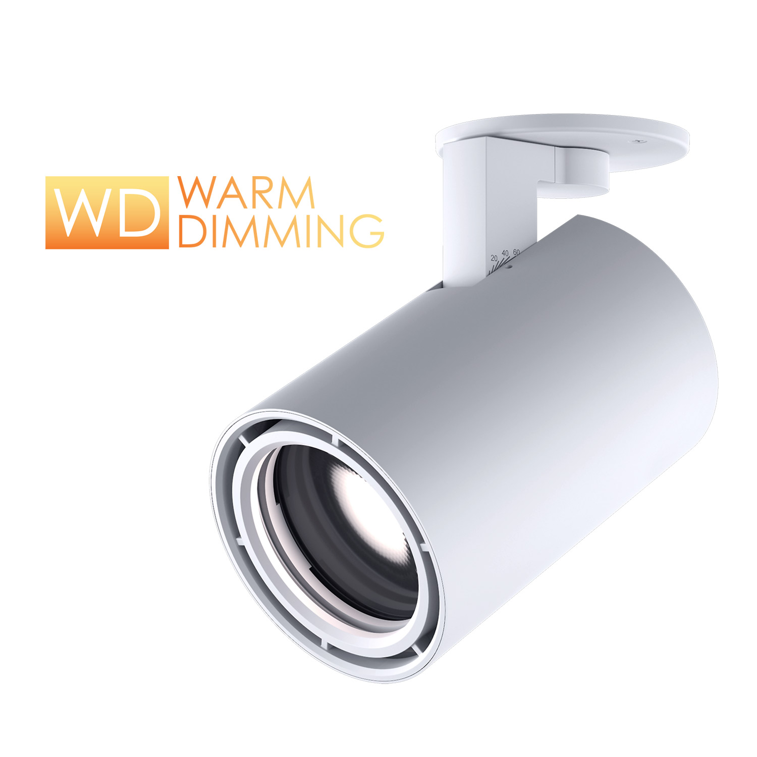 Product image for Gallery XL Warm Dim Canopy Mount Luminaire